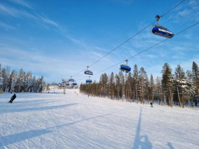 Levi -Sky Slope Apartment - 3 Bedrooms, Sirkka